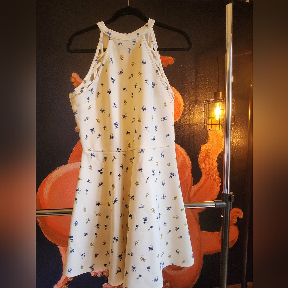 Cream color dress with blue floral detail, XL, No Boundaries brand.